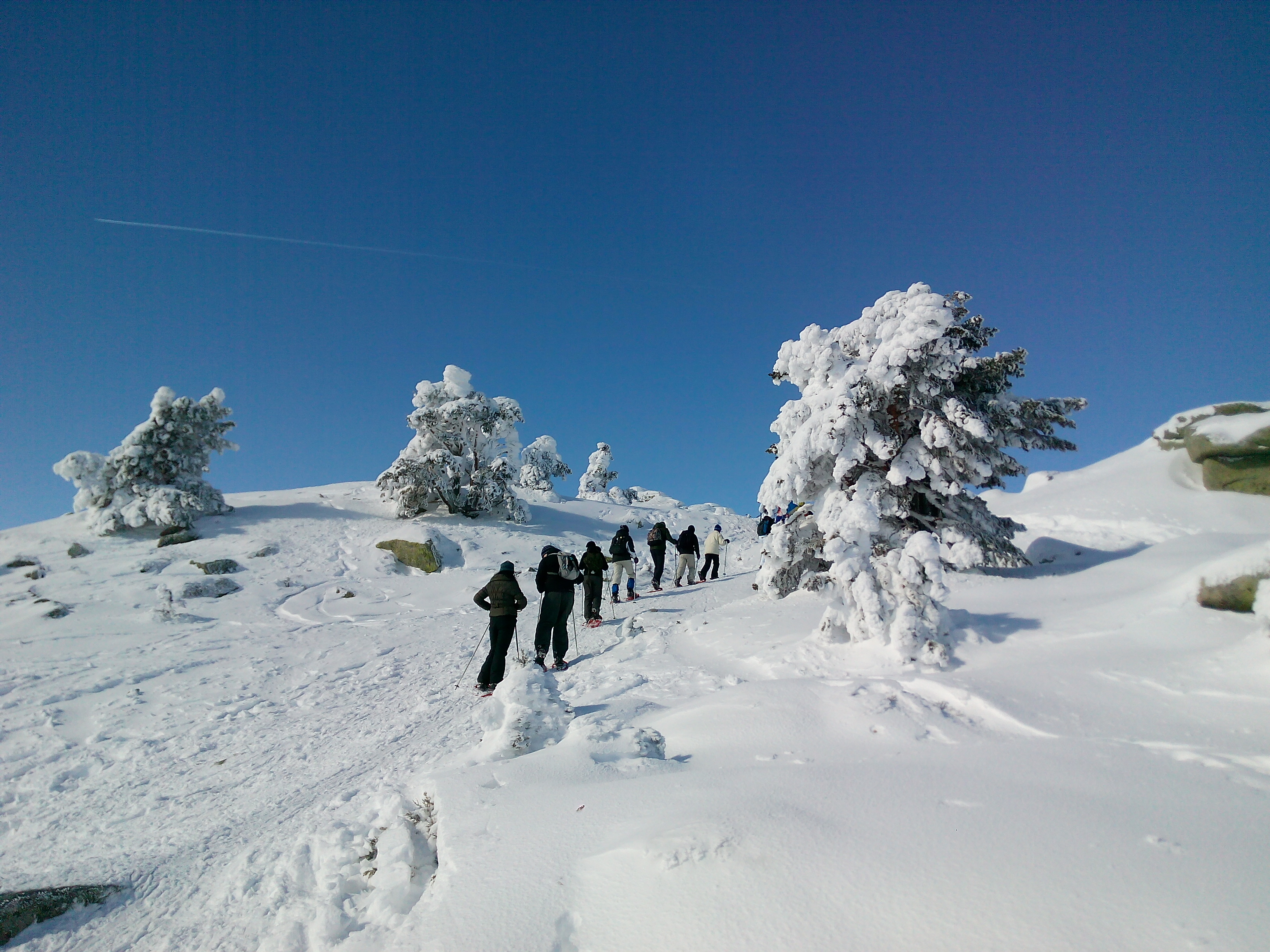 Snowshoe Walks Madrid