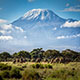 Kilimanjaro Ascent