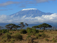 Kilimanjaro