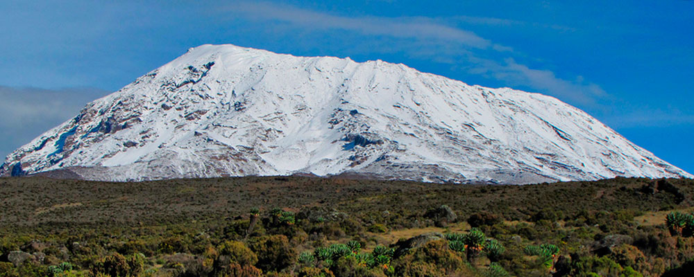 Kilimanjaro