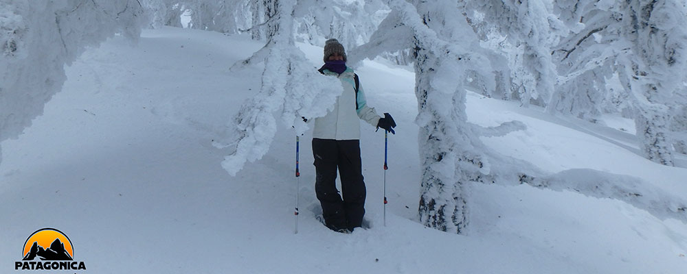 Snowshoeing Navacerrada