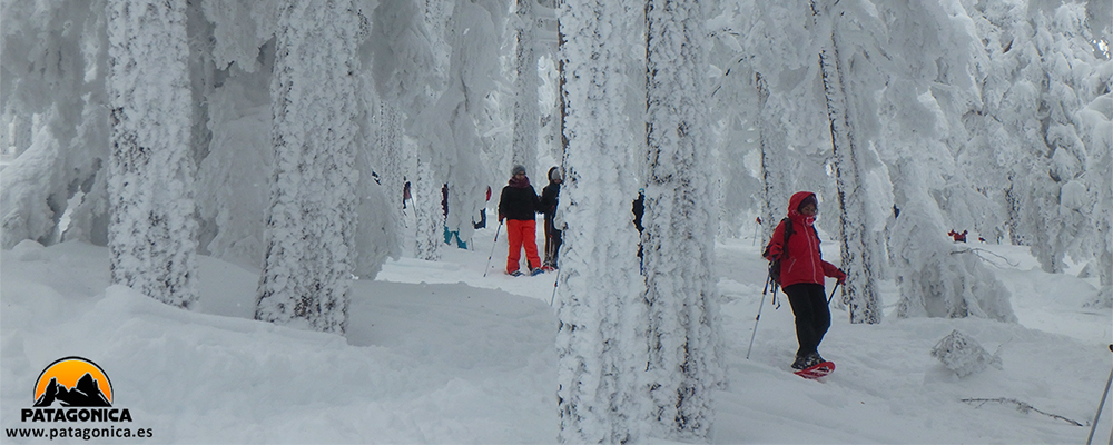 Snowshoeing Madrid