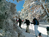 Snowshoeing Madrid 2024