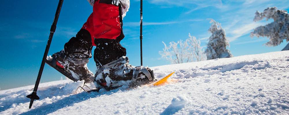 Snowshoe walks